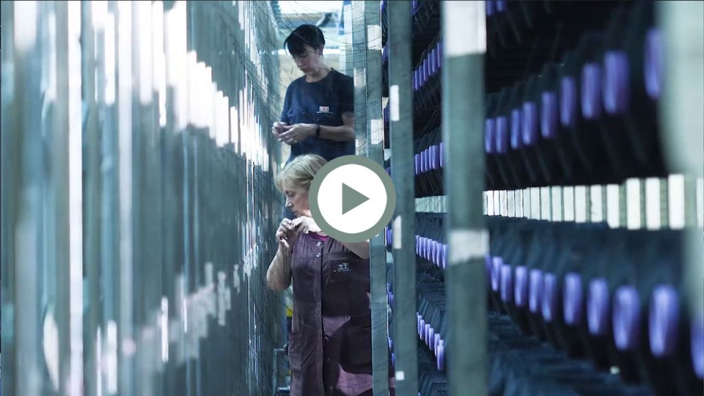 visión proceso urdidor en Textil Tapias Global